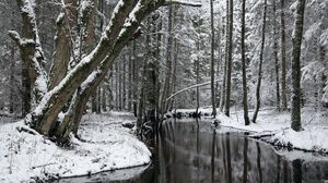 Preview wallpaper trees, river, snow, winter, forest