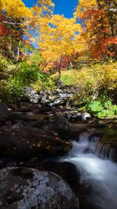 Preview wallpaper trees, river, stones, landscape, autumn