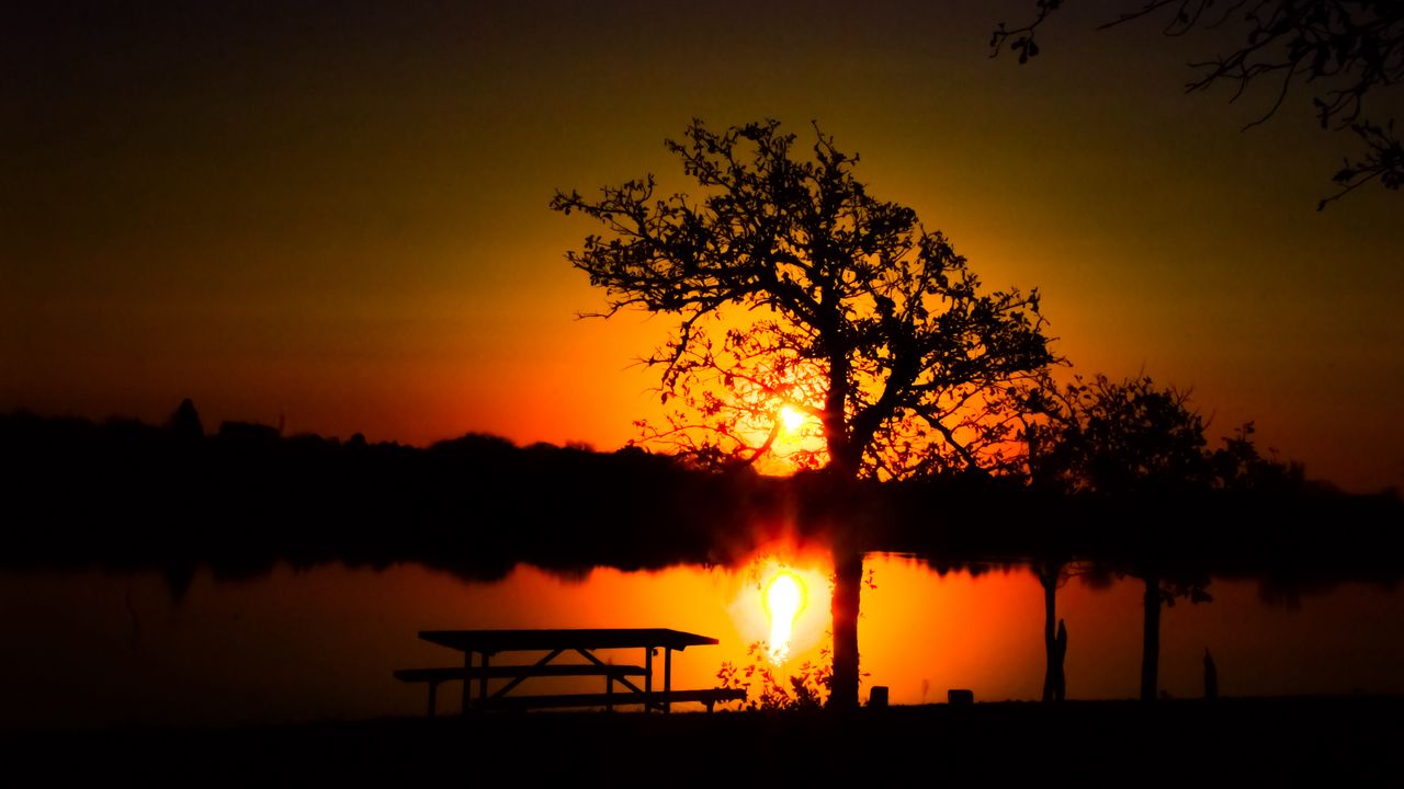 Wallpaper trees, river, sun, sunset, shadows, nature