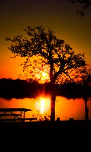 Preview wallpaper trees, river, sun, sunset, shadows, nature