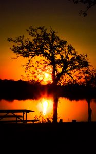 Preview wallpaper trees, river, sun, sunset, shadows, nature