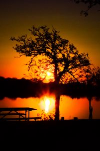 Preview wallpaper trees, river, sun, sunset, shadows, nature