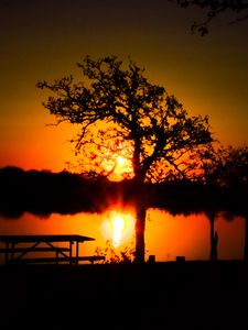 Preview wallpaper trees, river, sun, sunset, shadows, nature