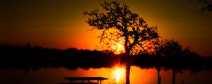 Preview wallpaper trees, river, sun, sunset, shadows, nature
