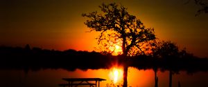 Preview wallpaper trees, river, sun, sunset, shadows, nature
