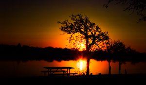 Preview wallpaper trees, river, sun, sunset, shadows, nature