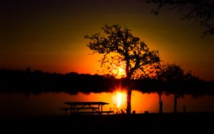 Preview wallpaper trees, river, sun, sunset, shadows, nature