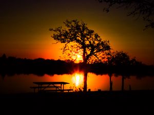 Preview wallpaper trees, river, sun, sunset, shadows, nature