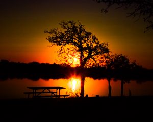 Preview wallpaper trees, river, sun, sunset, shadows, nature
