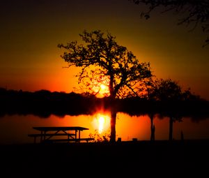 Preview wallpaper trees, river, sun, sunset, shadows, nature