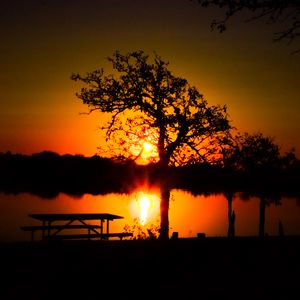 Preview wallpaper trees, river, sun, sunset, shadows, nature