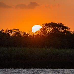 Preview wallpaper trees, river, sunset, sun, dark