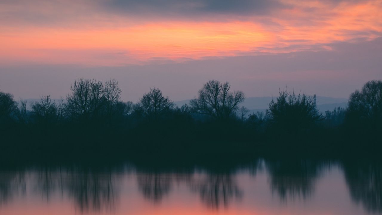 Wallpaper trees, river, sunset, horizon, reflection
