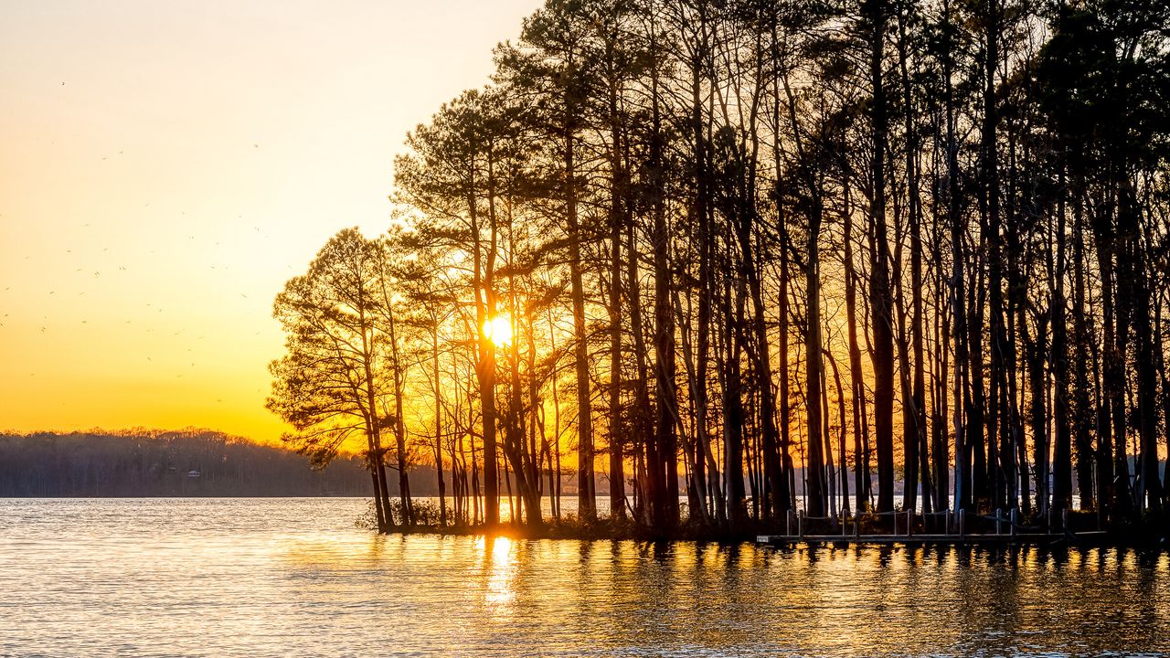 Wallpaper trees, river, sunset, nature