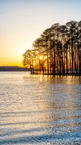 Preview wallpaper trees, river, sunset, nature