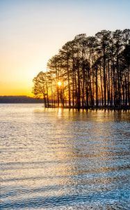 Preview wallpaper trees, river, sunset, nature