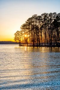 Preview wallpaper trees, river, sunset, nature