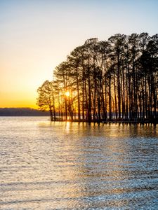 Preview wallpaper trees, river, sunset, nature
