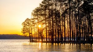 Preview wallpaper trees, river, sunset, nature