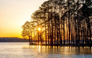 Preview wallpaper trees, river, sunset, nature