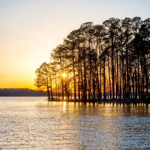 Preview wallpaper trees, river, sunset, nature