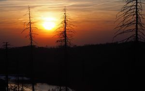 Preview wallpaper trees, river, sunset, dark