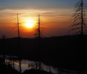 Preview wallpaper trees, river, sunset, dark