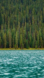 Preview wallpaper trees, river, water, surface
