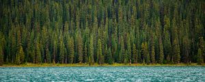 Preview wallpaper trees, river, water, surface