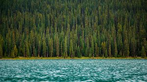 Preview wallpaper trees, river, water, surface