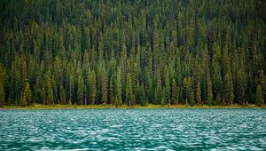 Preview wallpaper trees, river, water, surface