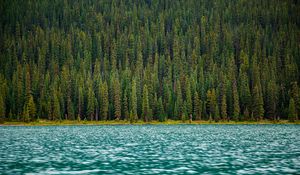 Preview wallpaper trees, river, water, surface