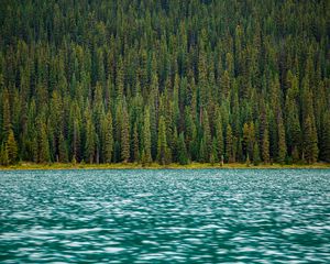 Preview wallpaper trees, river, water, surface