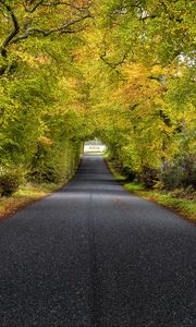 Preview wallpaper trees, road, autumn, scotland