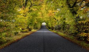 Preview wallpaper trees, road, autumn, scotland