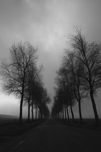 Preview wallpaper trees, road, black and white, black