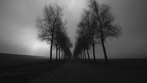 Preview wallpaper trees, road, black and white, black