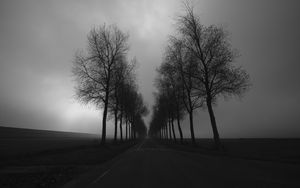 Preview wallpaper trees, road, black and white, black