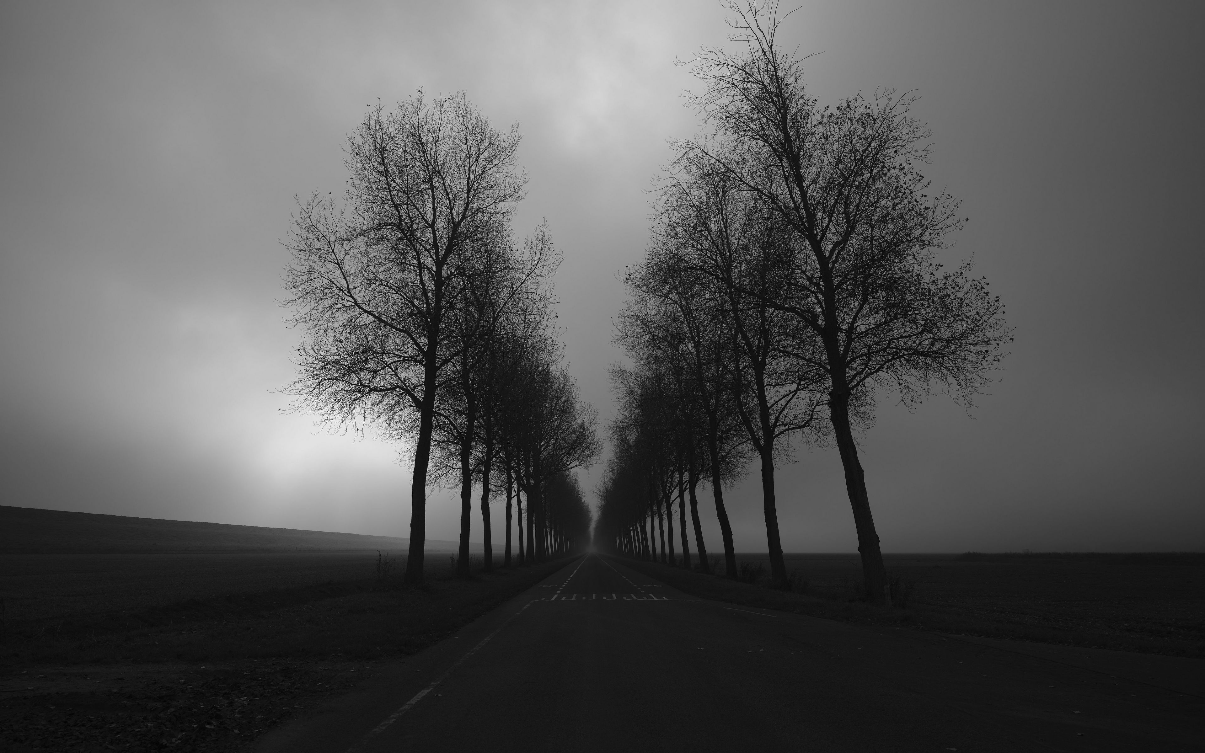 Download wallpaper 3840x2400 trees, road, black and white, black 4k