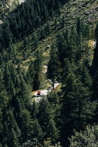 Preview wallpaper trees, road, cars, forest, slope