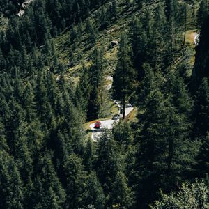 Preview wallpaper trees, road, cars, forest, slope