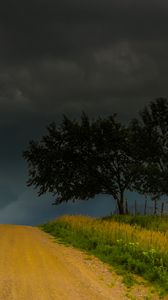 Preview wallpaper trees, road, field, clouds, nature