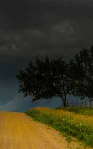 Preview wallpaper trees, road, field, clouds, nature