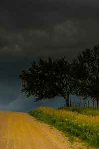 Preview wallpaper trees, road, field, clouds, nature