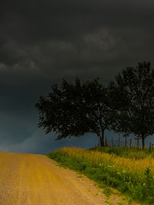 Preview wallpaper trees, road, field, clouds, nature