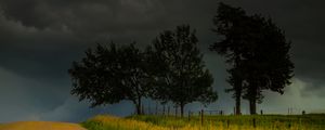 Preview wallpaper trees, road, field, clouds, nature