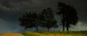 Preview wallpaper trees, road, field, clouds, nature