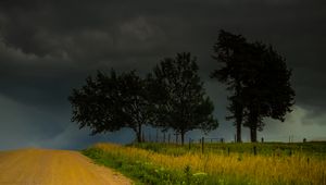 Preview wallpaper trees, road, field, clouds, nature