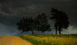 Preview wallpaper trees, road, field, clouds, nature