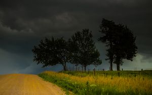 Preview wallpaper trees, road, field, clouds, nature